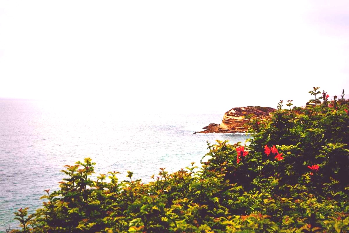 Photo after enhancement